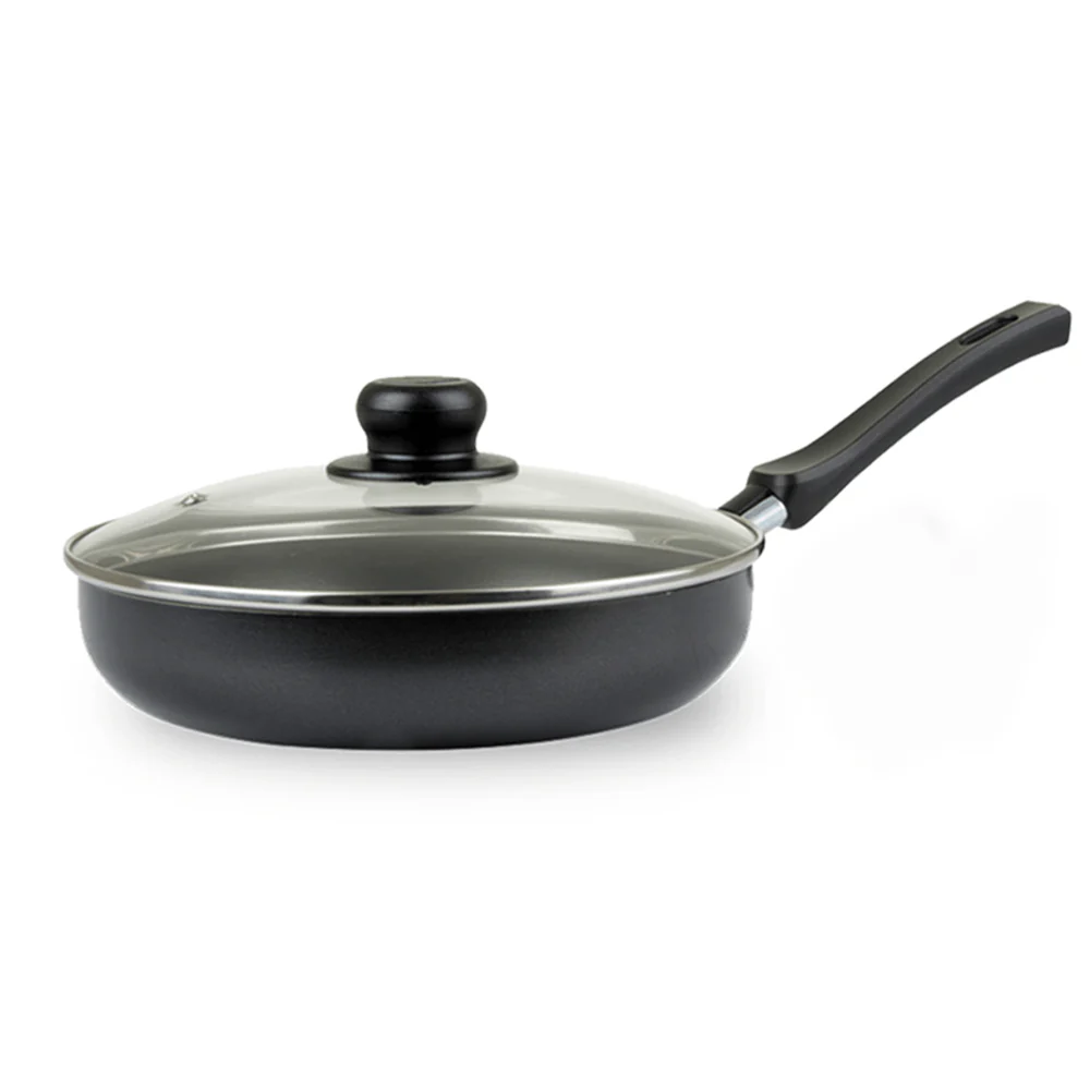 Sartén Aliada 24cm Universal